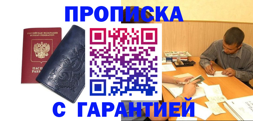 прописка поиск в Бородино